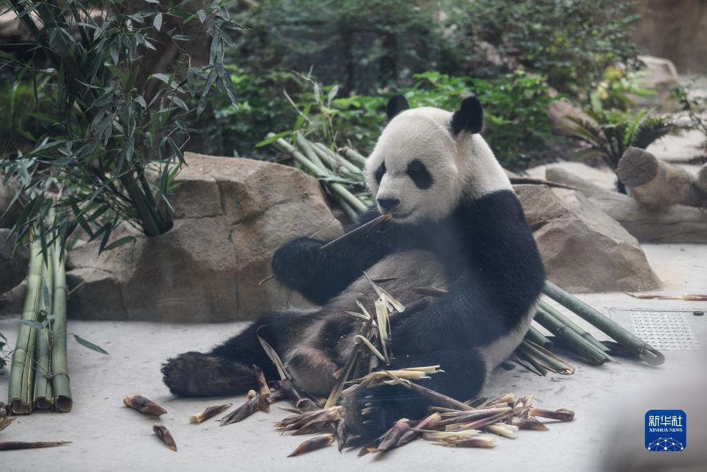 捕鱼赢钱